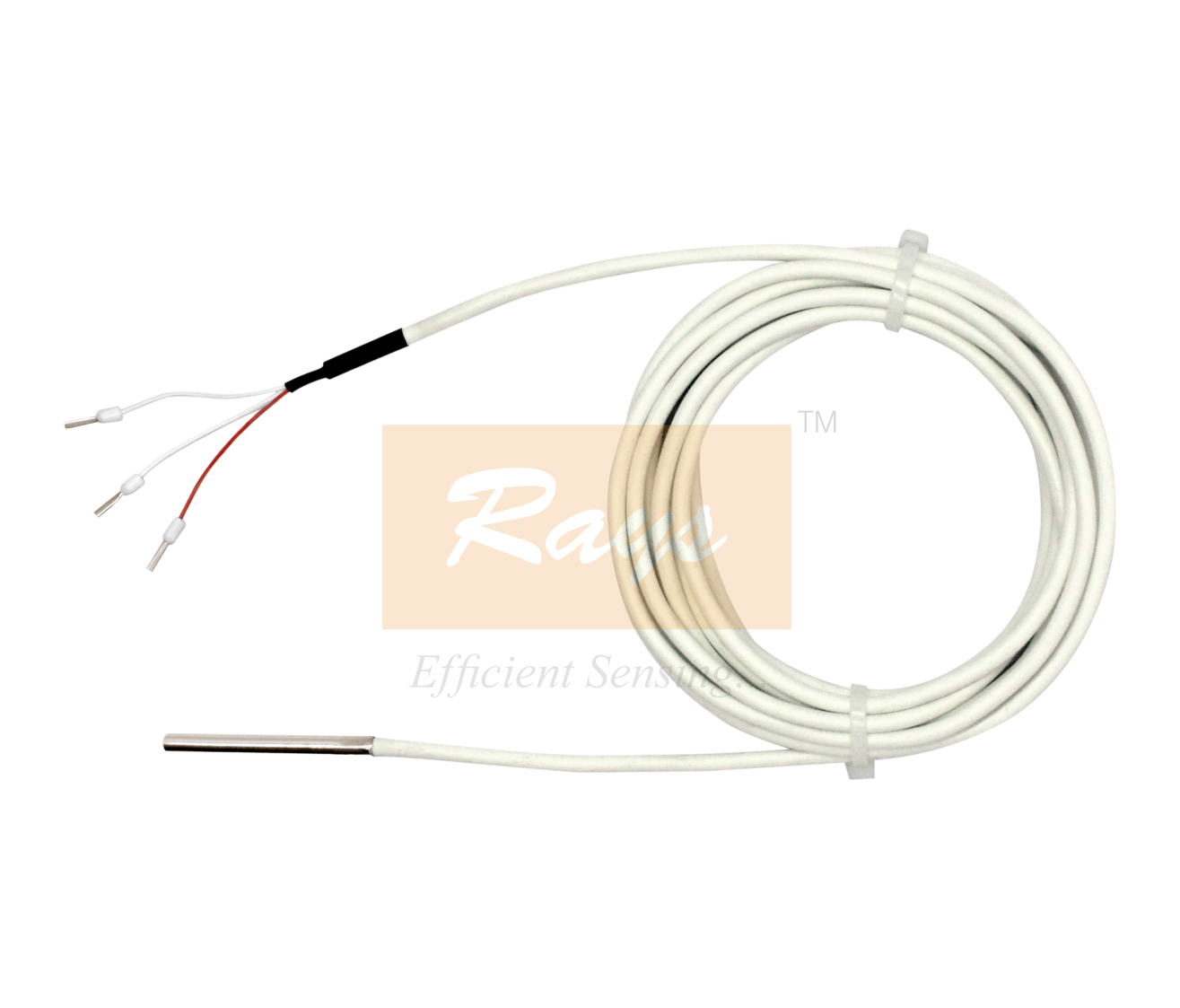 Autoclave RTD