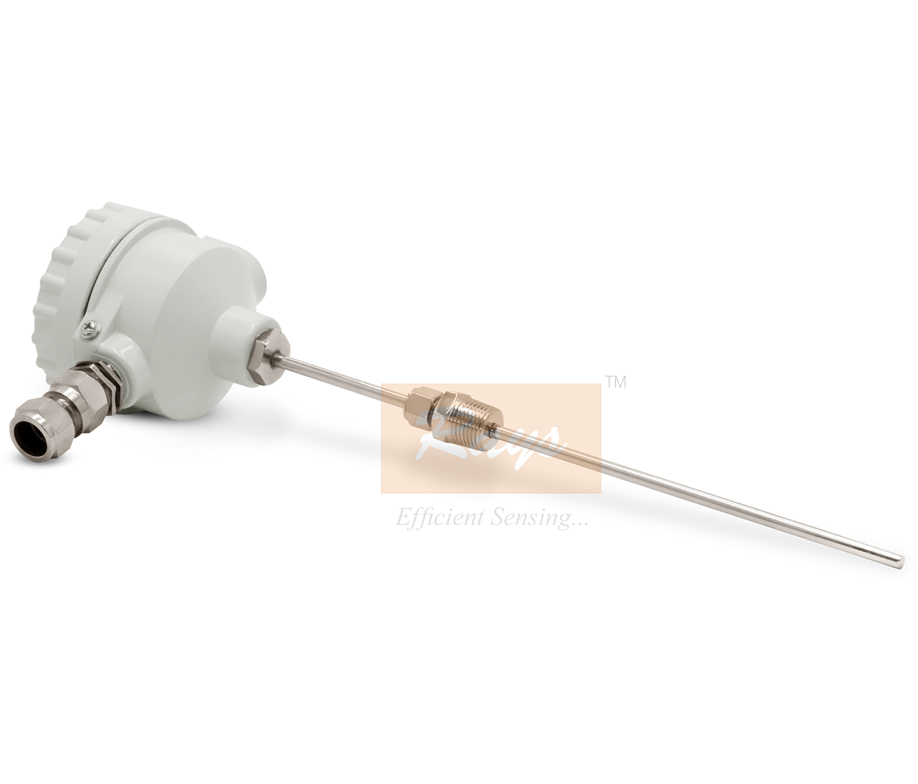 Flamperoof RTD Sensor