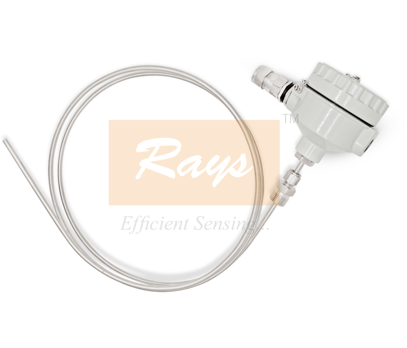 Mineral Insulated RTD