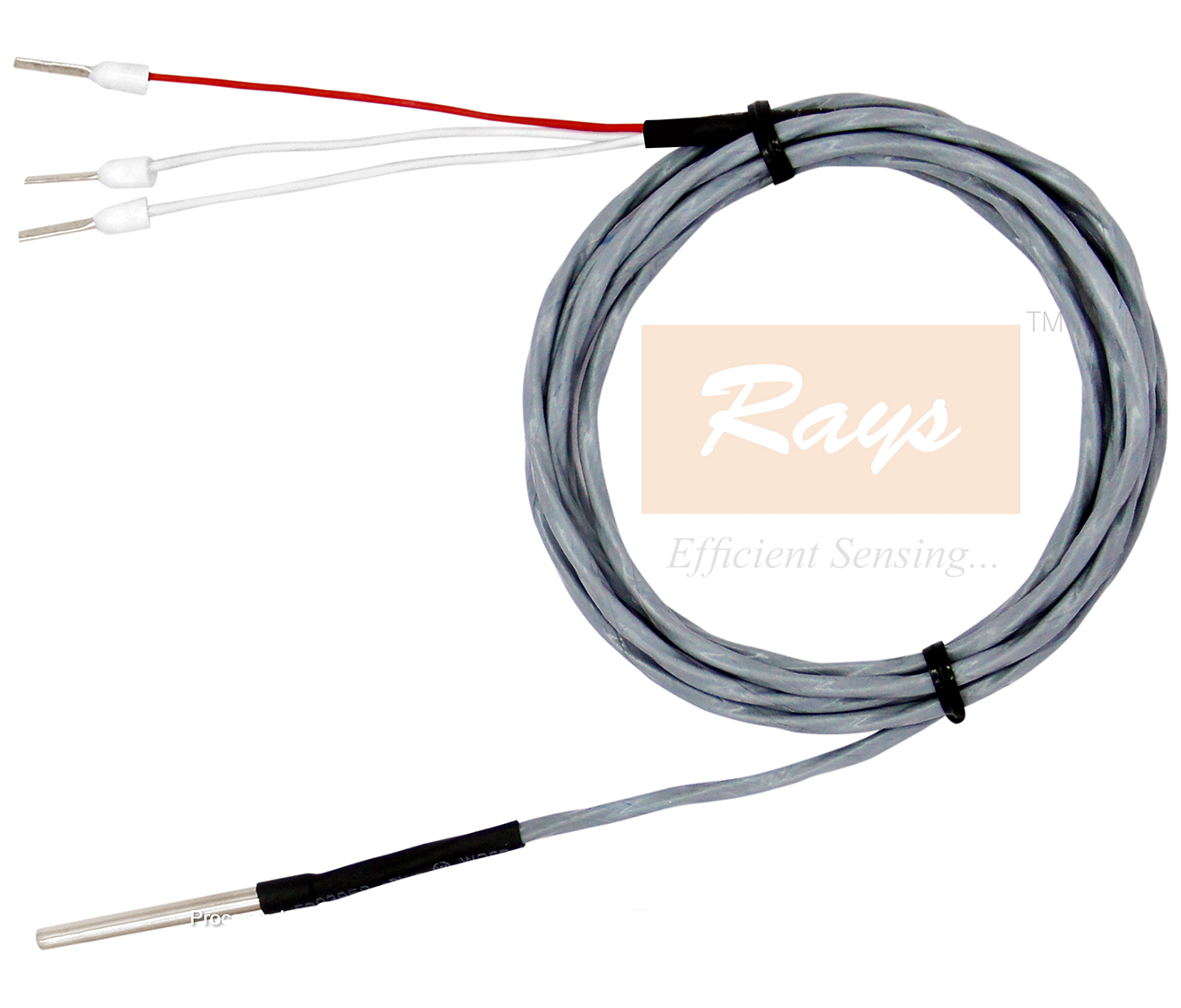 Miniature RTD for Deep Freezer or Lypholizer