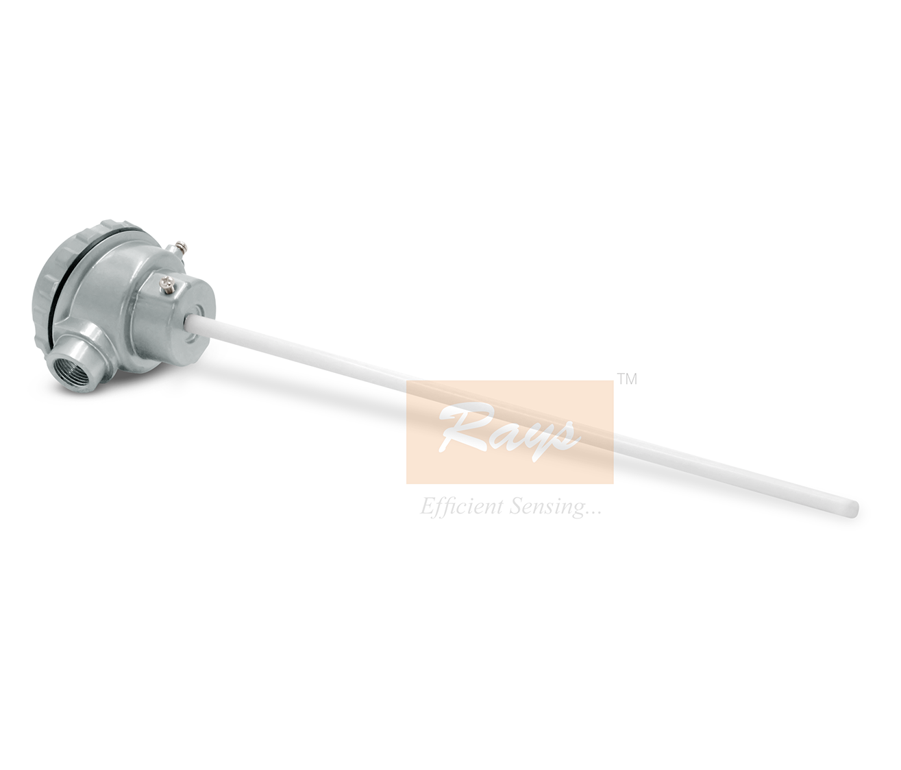Teflon Coated RTD for Acid and Alkali Applications