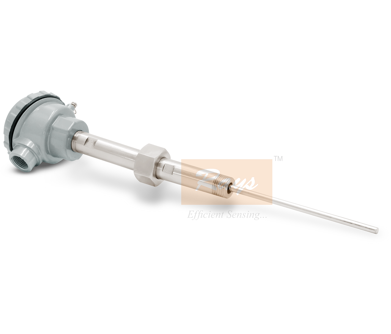 Weatherproof RTD with N-U-N Extension